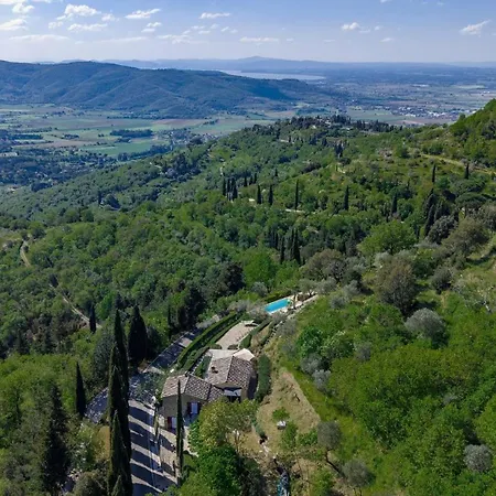 Rosa Cortona