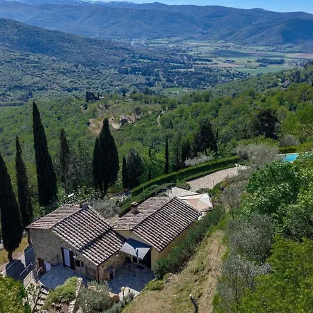 Rosa * Cortona